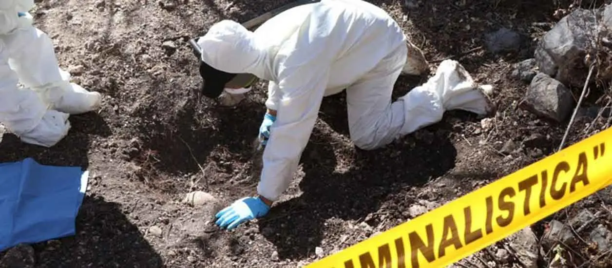 Suman 245 cuerpos rescatados
