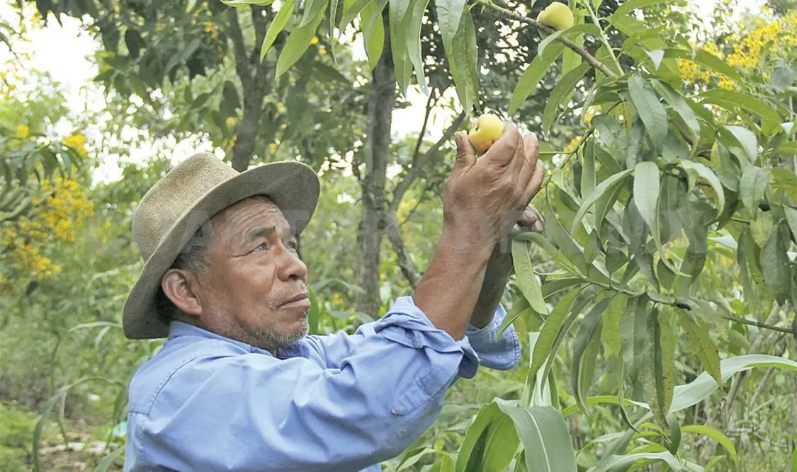 Productores, entre la crisis y el abandono