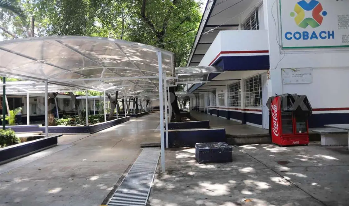 Realizan actividades bajo la nueva normalidad