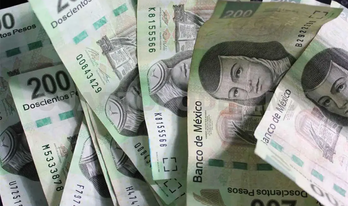 Casi 800 millones de pesos en lo que va de 2021