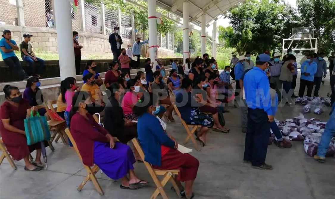 Distribuyen semillas mejoradas de frijol