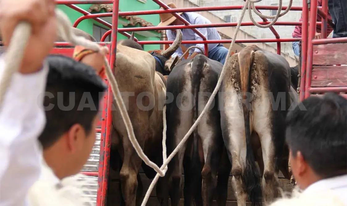 Productores se suman a la ganadería sustentable