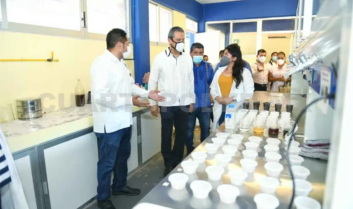 Banco de Germoplasma del Café en Unach