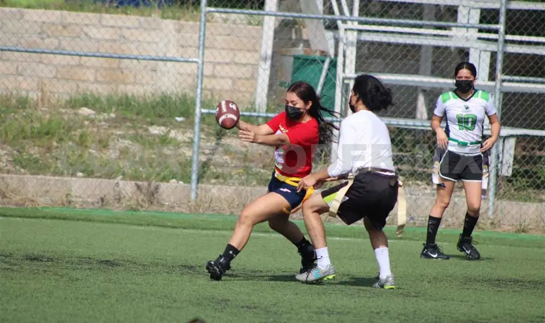 Fold Cats asumieron liderato en el TNT