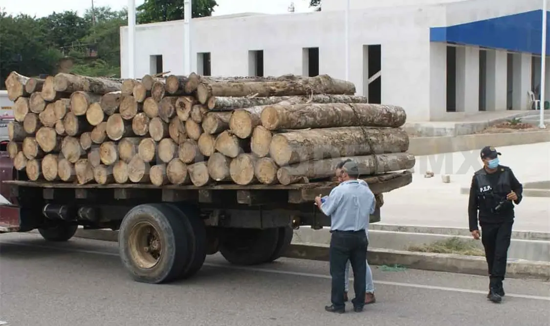 Aseguran 2 mil 880 metros cúbicos de madera