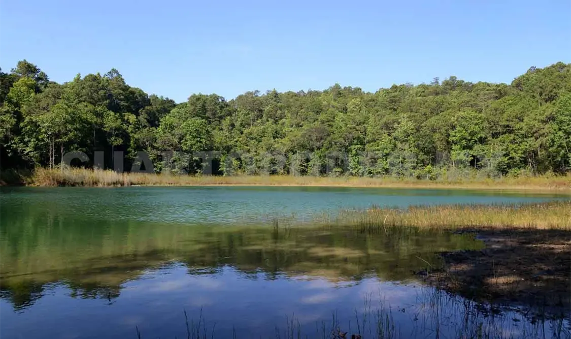 Inicia festival “Por el Agua y los Bosques”