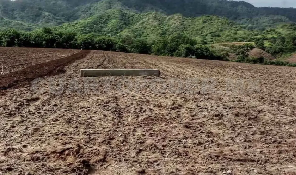 Presupuesto al campo en 2022 es insuficiente
