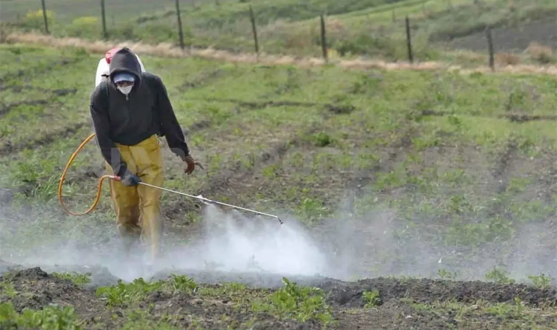 Urge implementar una agricultura sustentable