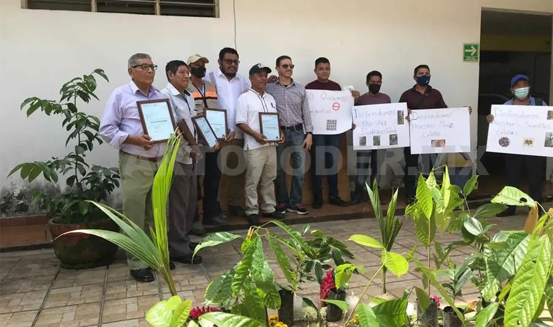Registran variedades de semillas criollas