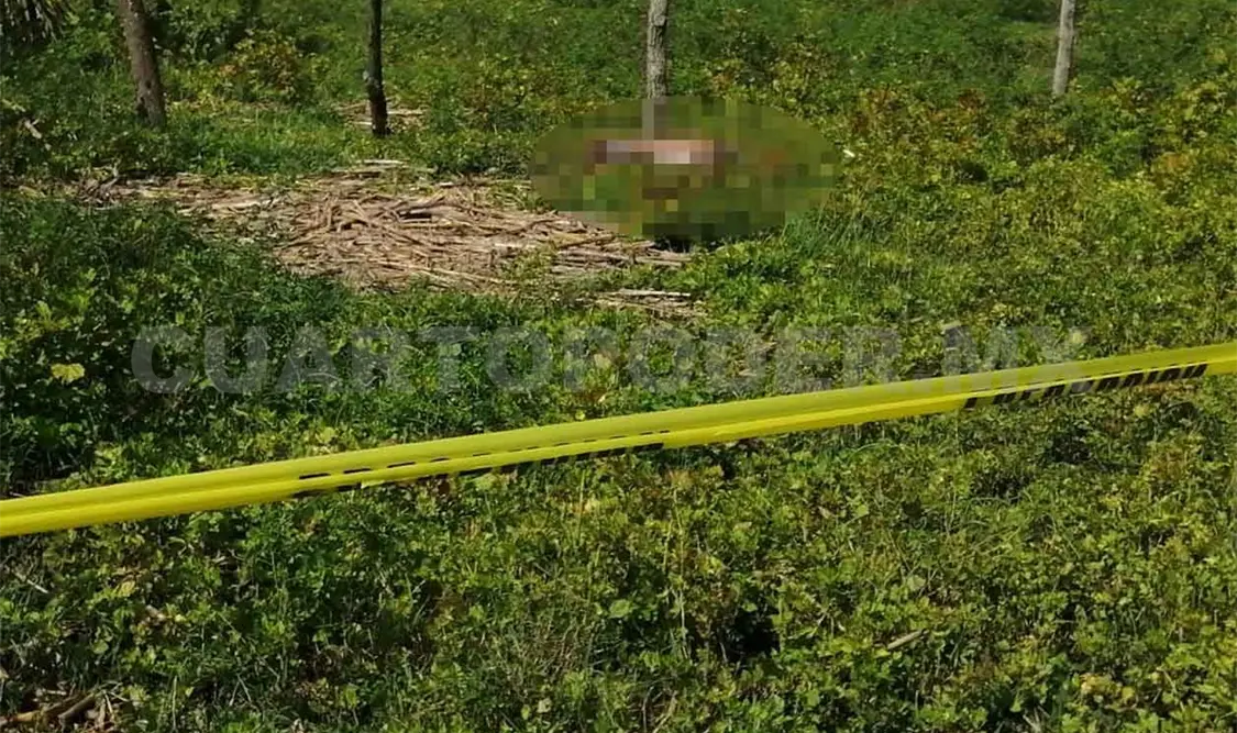 Sujeto aparece muerto en un predio