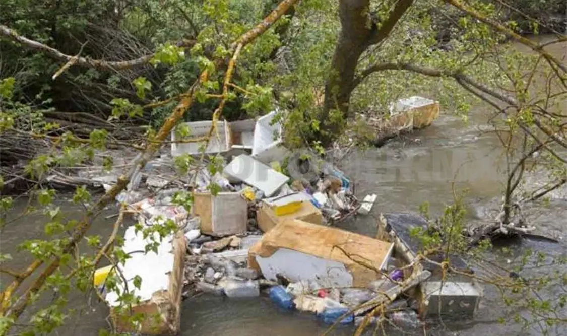 Ganaderos provocan contaminación en río