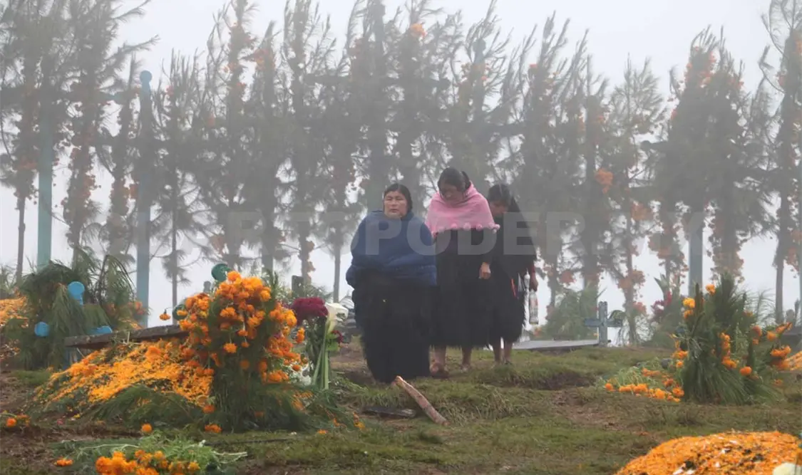 Las flores se consideran un elemento básico para todas las personas que llegan a los cementerios. Diego Pérez / CP