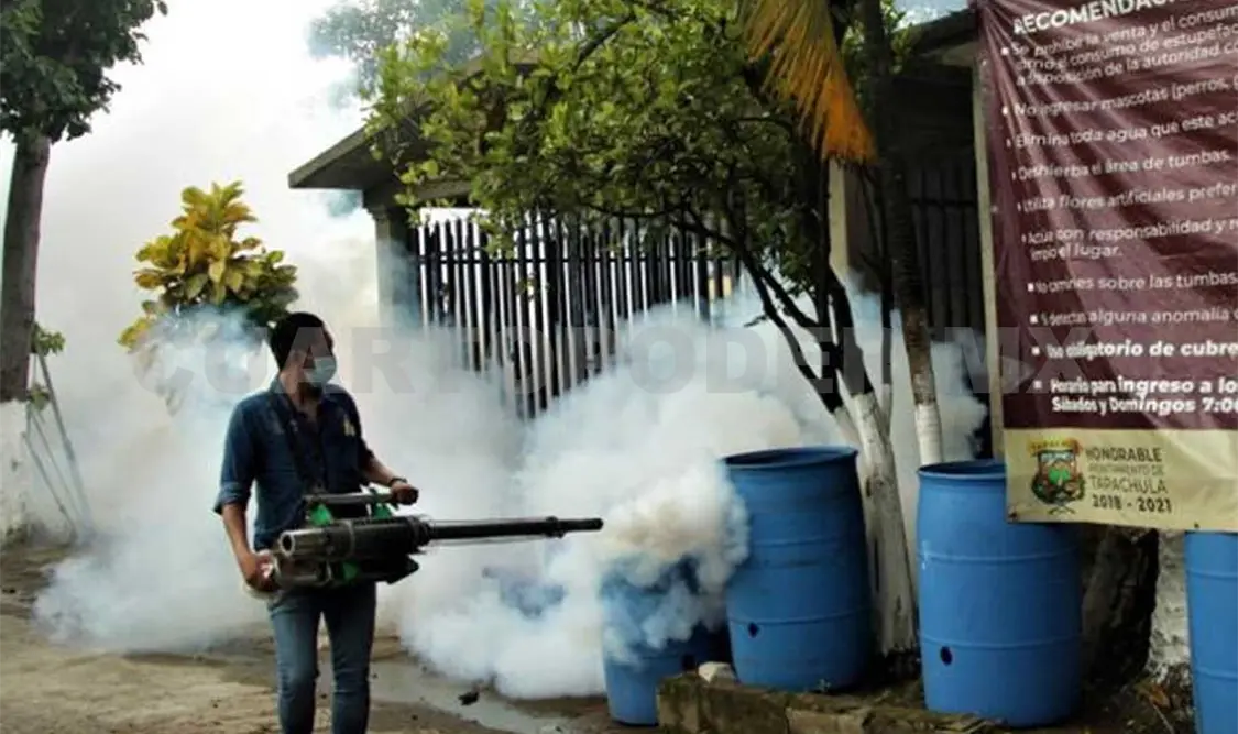 Se realizan acciones de fumigación para reducir la presencia del mosco transmisor del dengue, zika y chikungunya. CP