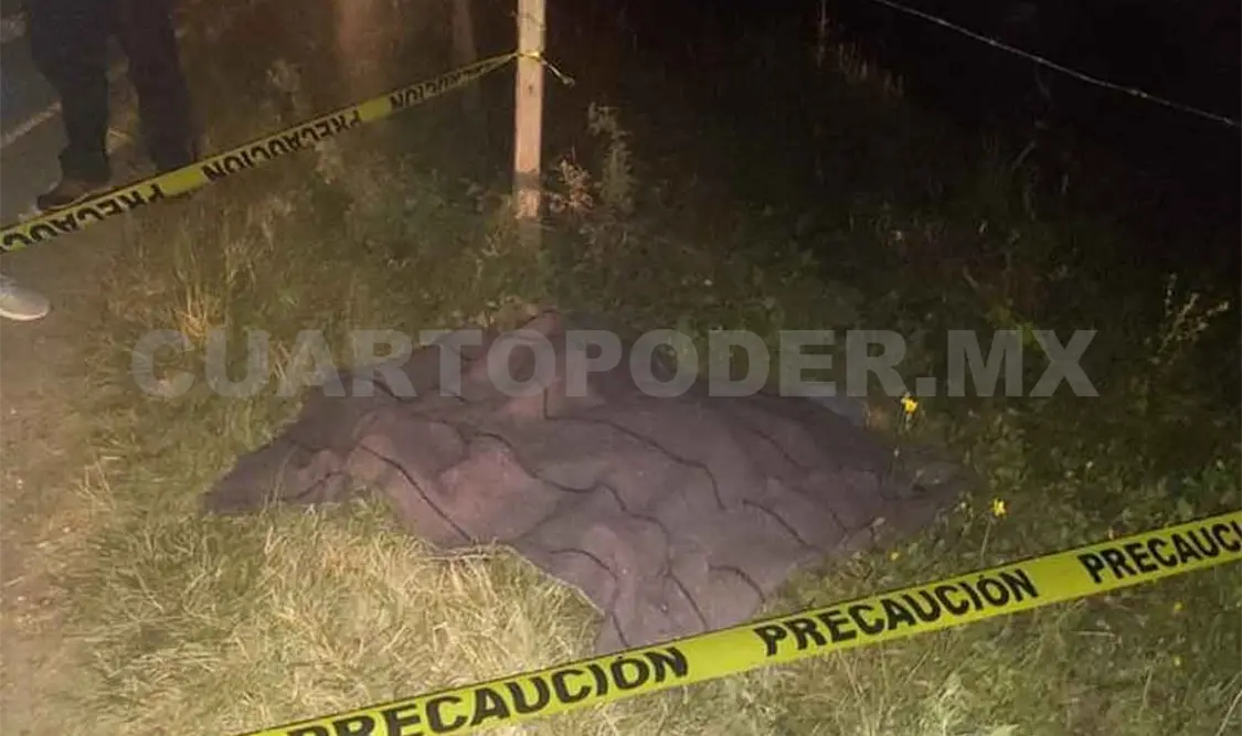 Muere peatón arrollado por vehículo “fantasma”