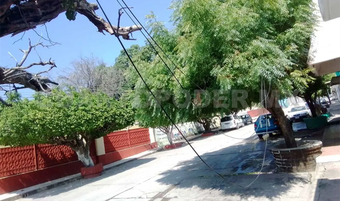 Intensos vientos tiran cables eléctricos