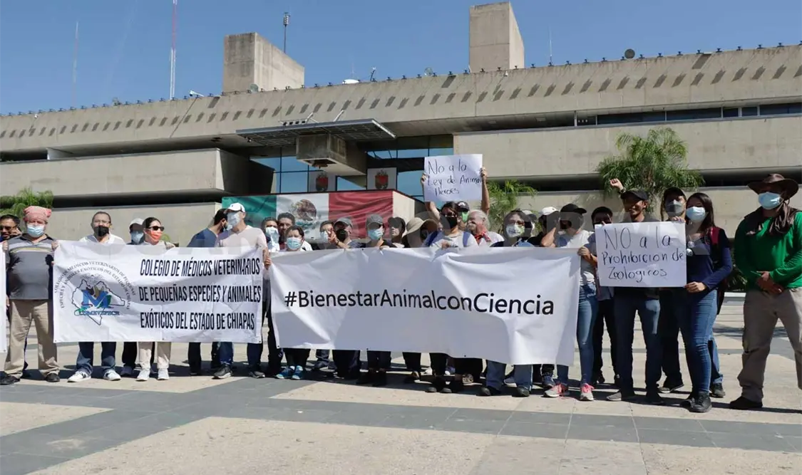Ley de Bienestar Animal atenta a científicos