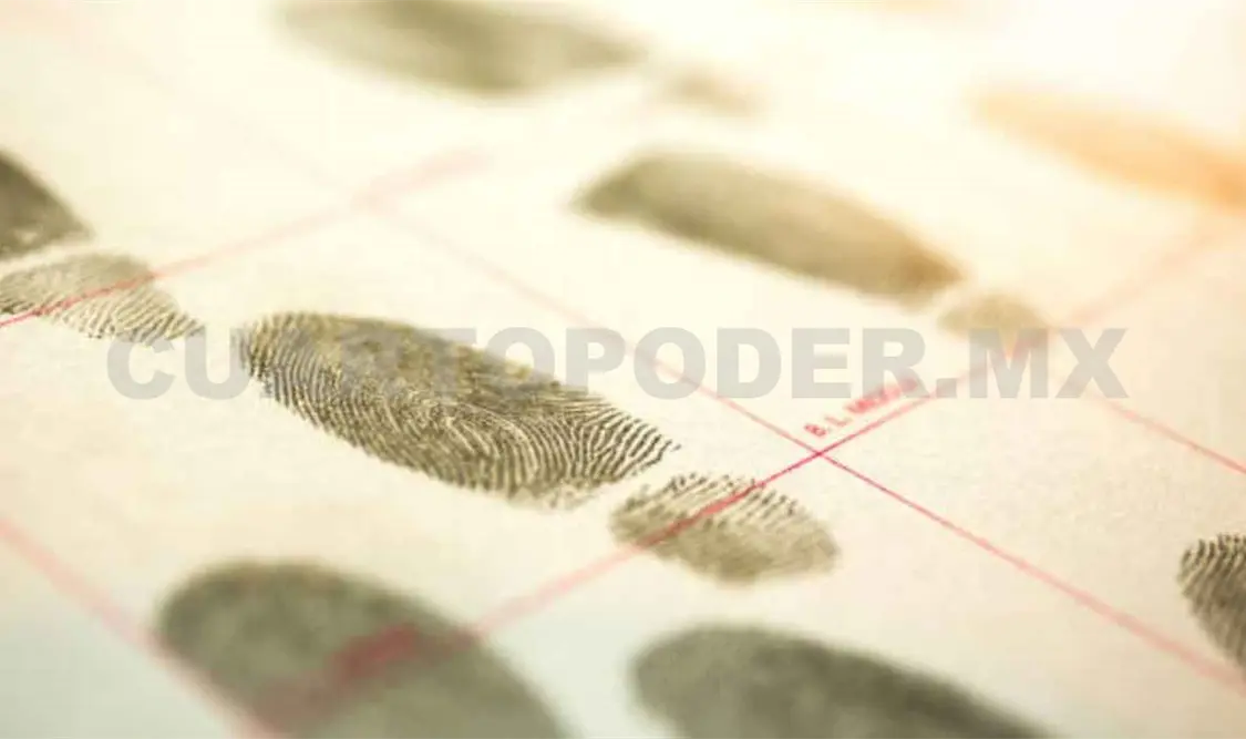 Criminólogos, analistas del comportamiento criminal