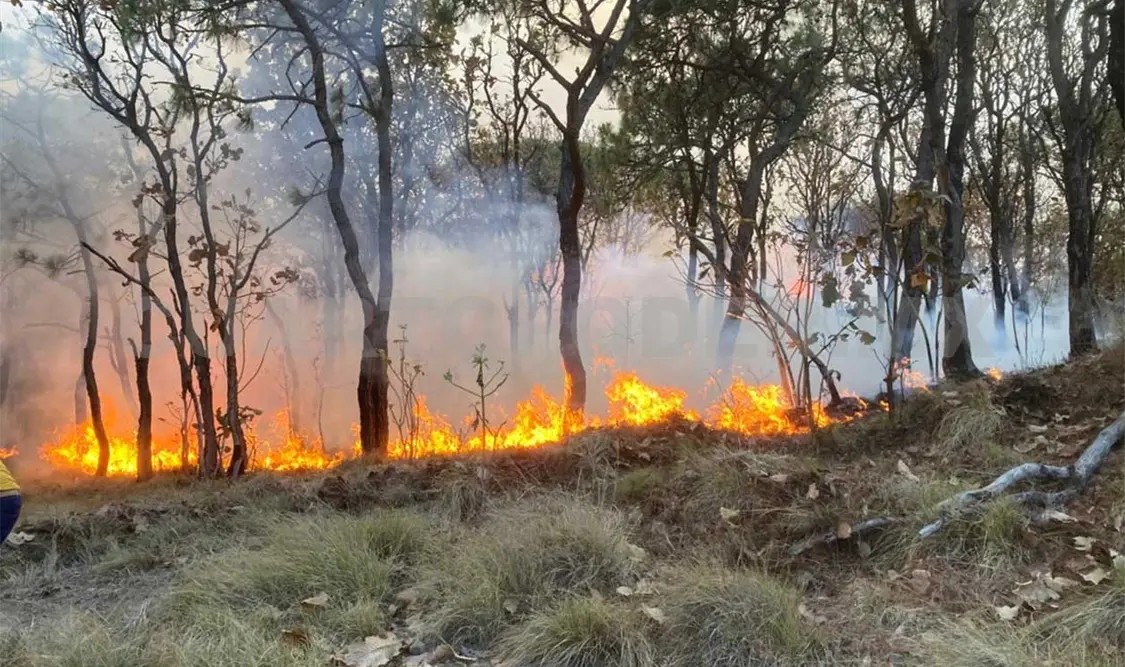 Tras baja de lluvias aparecen primeros incendios forestales