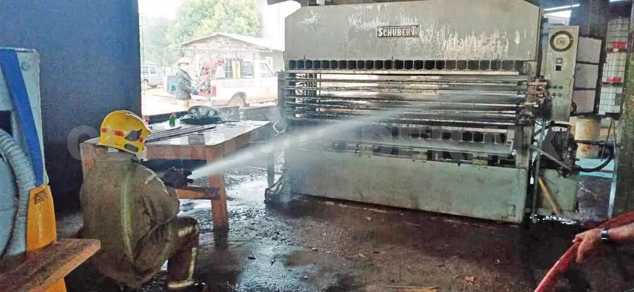 Explosión de máquina en un aserradero; 12 heridos