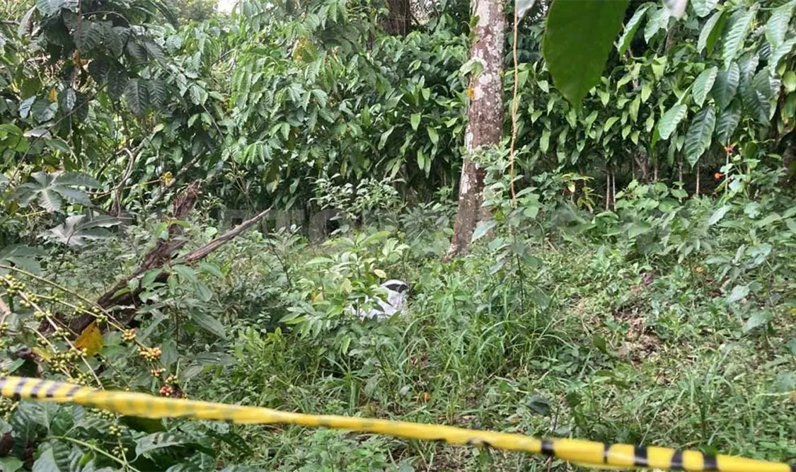 Sexagenario muere al caer de un árbol