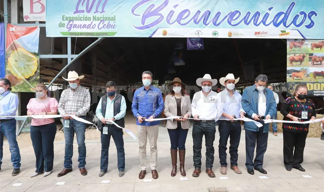 En Chiapas se fomenta la ganadería mexicana: REC