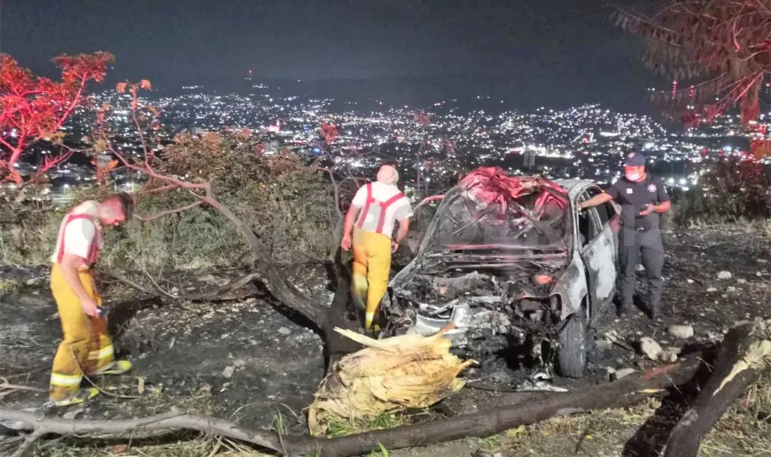 Queda en cenizas un auto al impactar y derribar árbol
