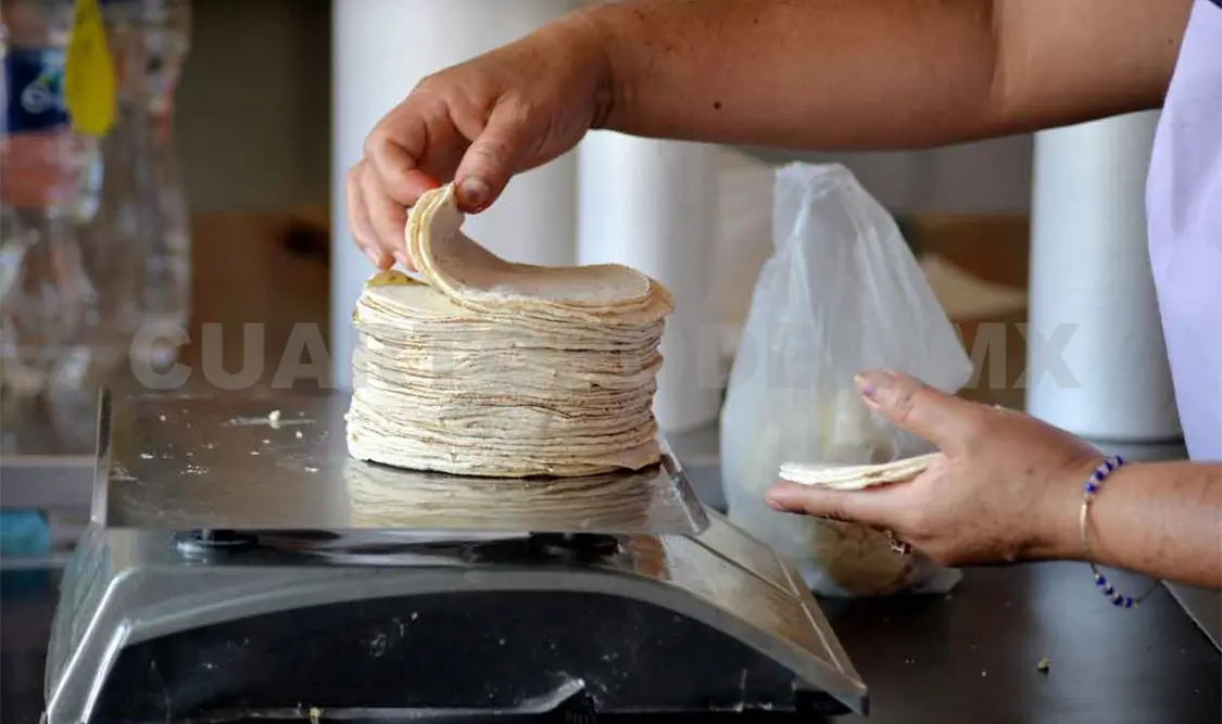 Pronostican aumento al precio de la tortilla