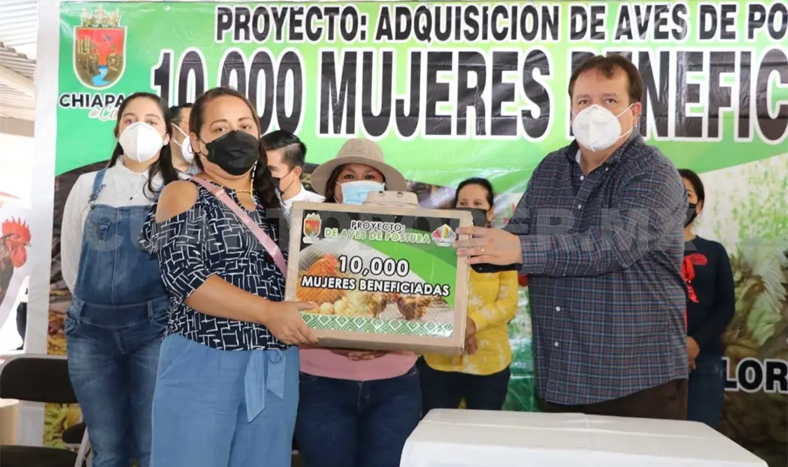 Ayuntamiento inicia entrega de aves de traspatio