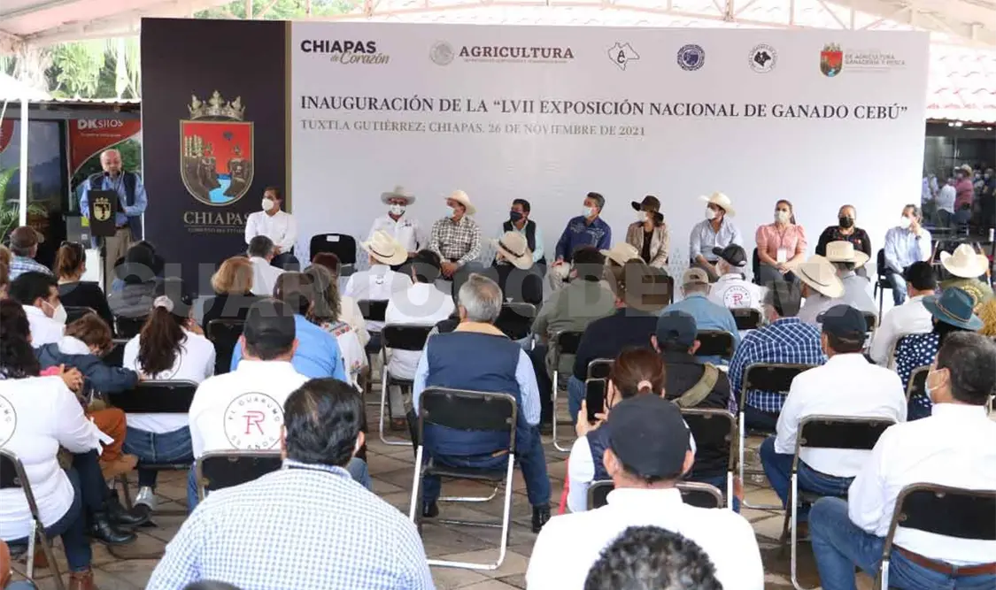Reafirman respaldo a ganadería en Chiapas