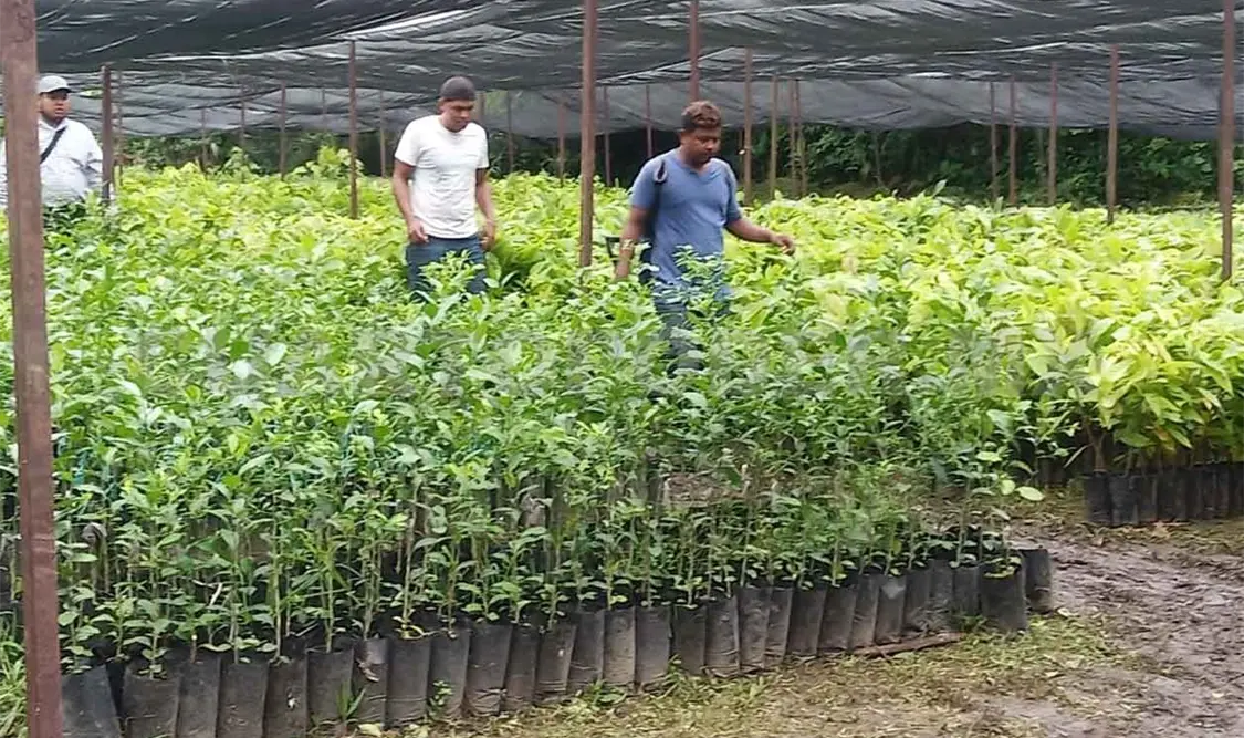 Reclaman espacios laborales otorgados a migrantes