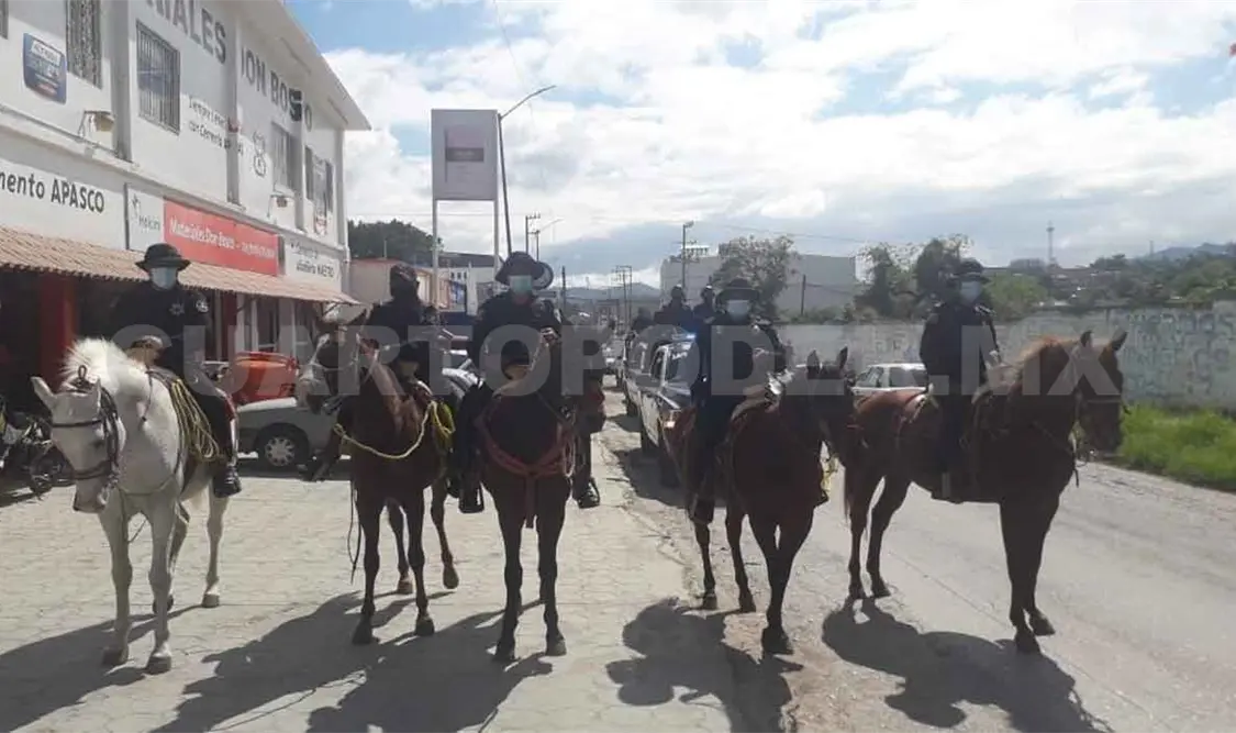 Caballería coadyuvará al combate del abigeato