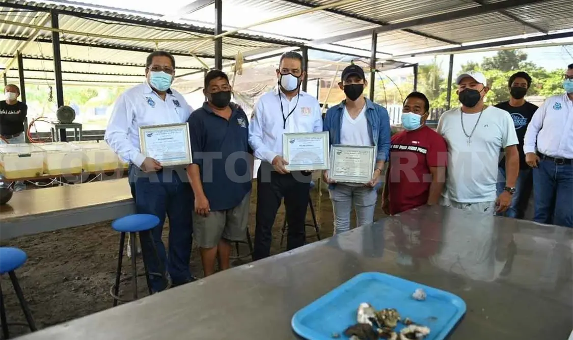 Trasciende labor de ingenieros en sistemas costeros