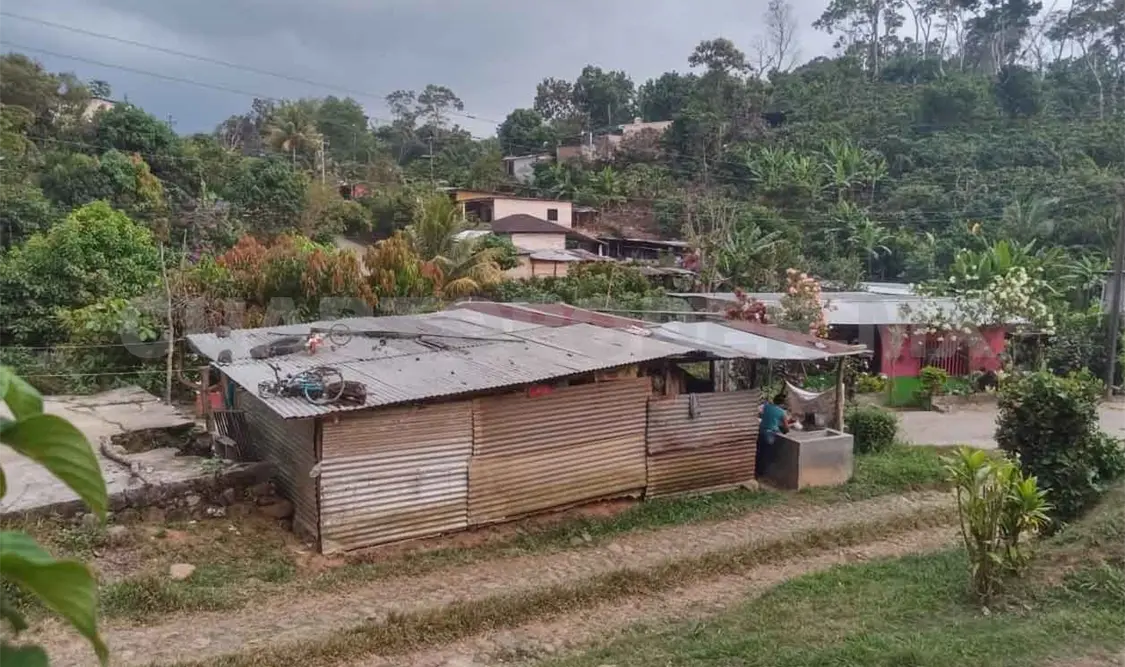 Buscan aprovechar conocimientos de herbolaria