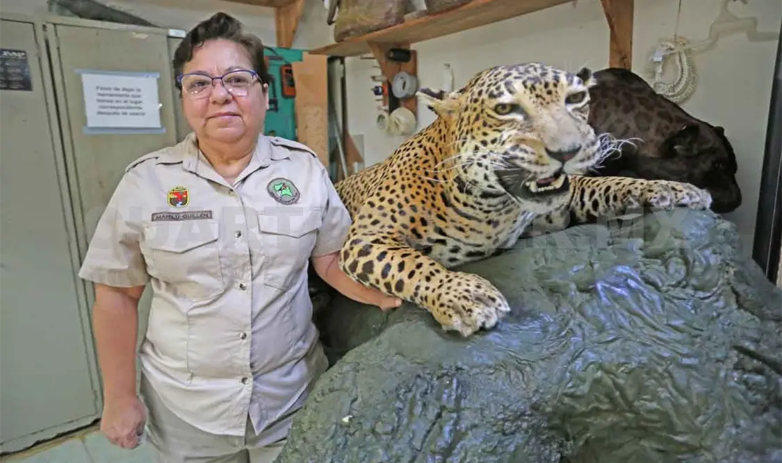 Marilú, entre las artes plásticas y la taxidermia