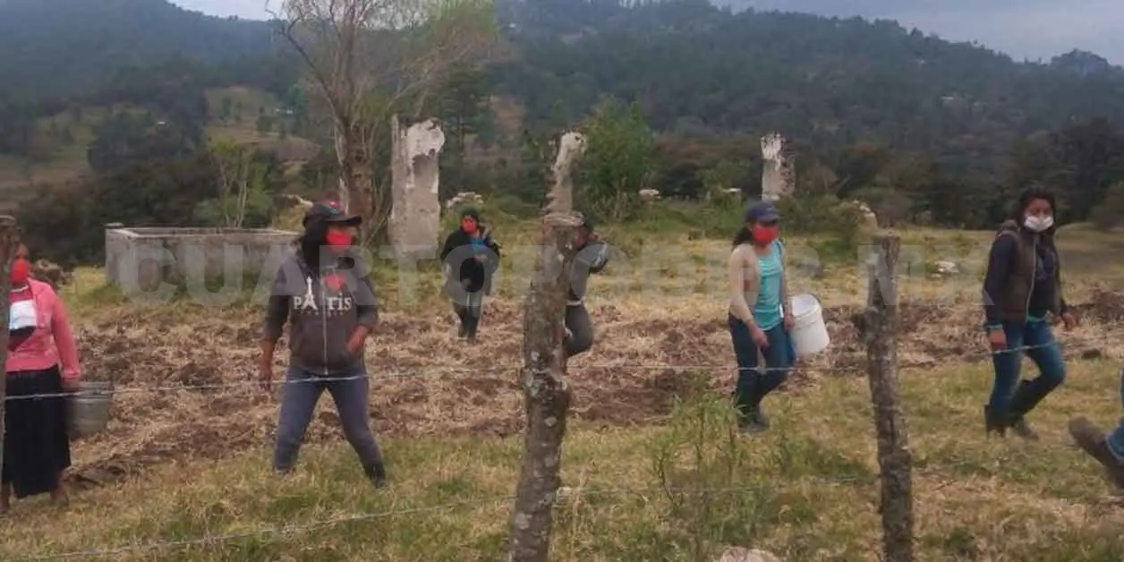 Piden cesar agresiones contra bases zapatistas