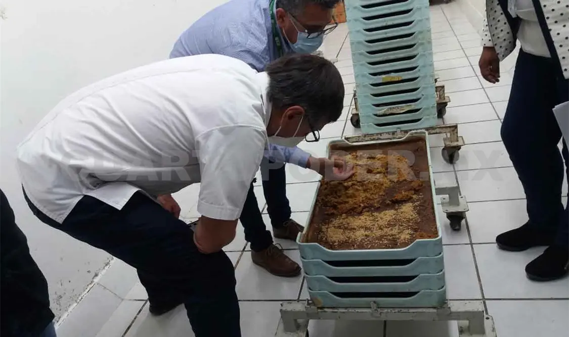 Descartan afectaciones por mosca del Mediterráneo