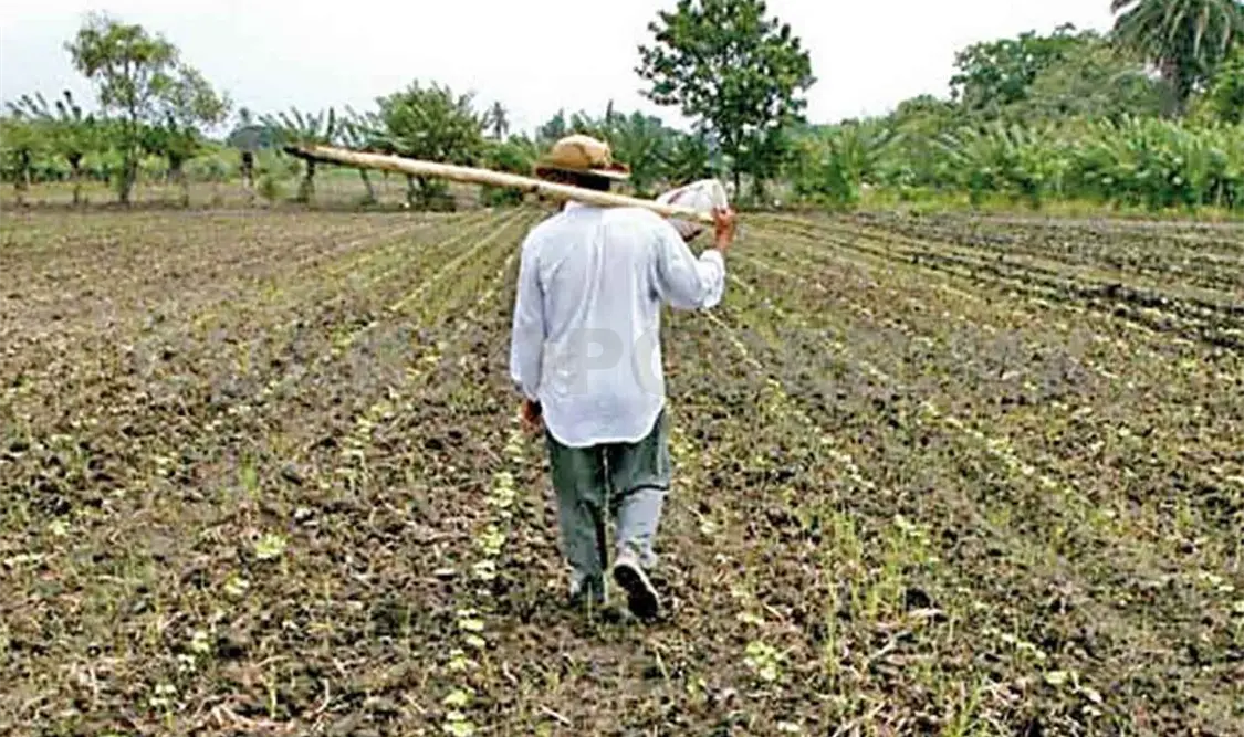 Piden piso parejo en entrega de fertilizantes
