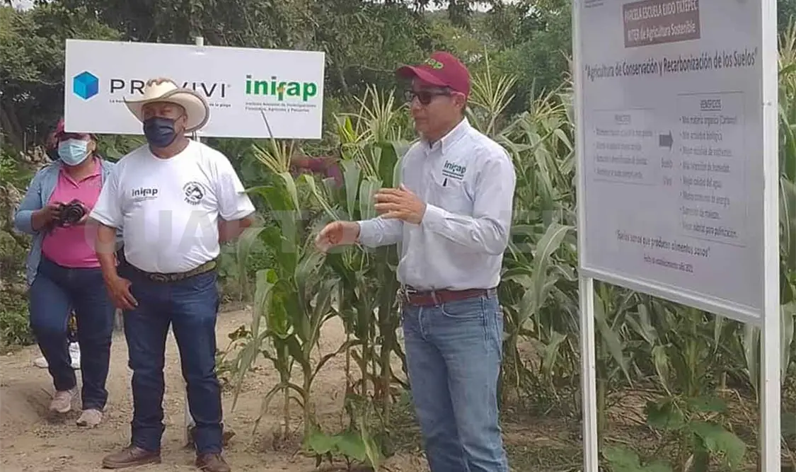 Degradación del suelo terminaría con la vida