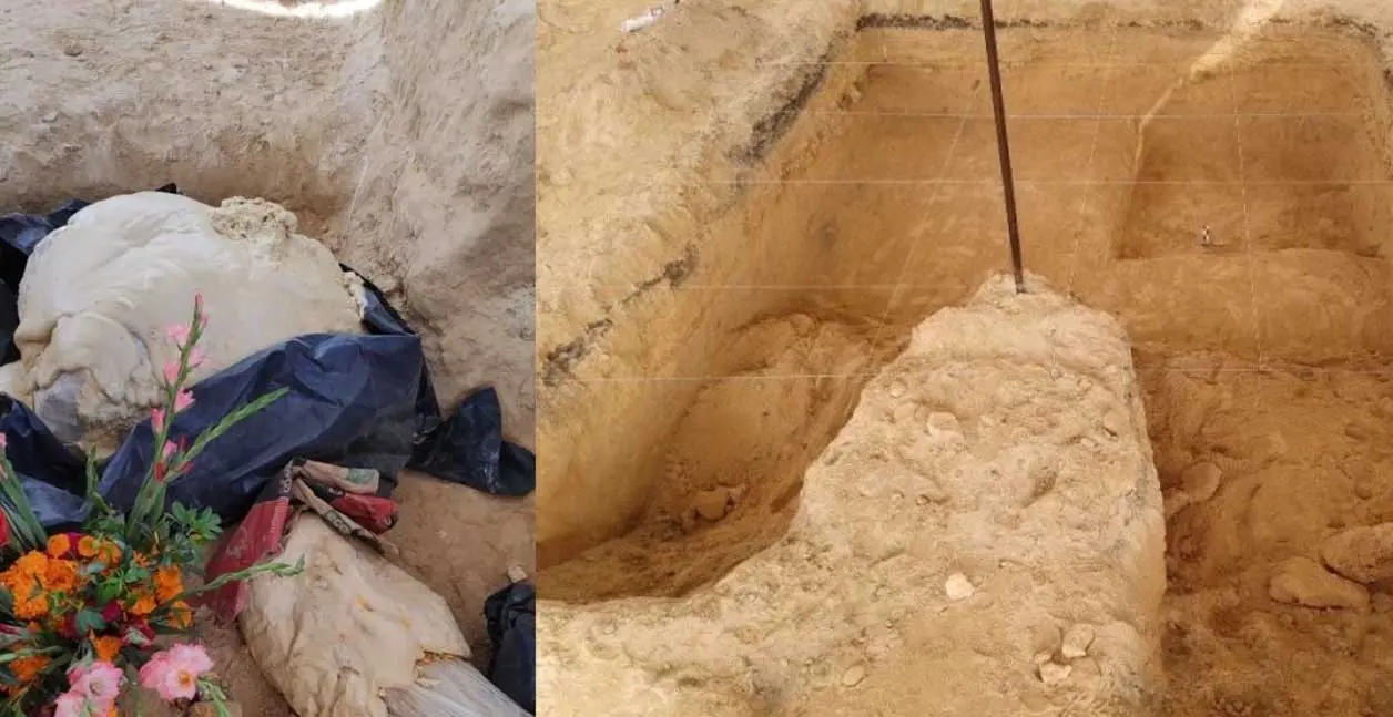 Los restos del mamut fueron hallados por un trabajador del panteón municipal de Los Reyes. Cortesía