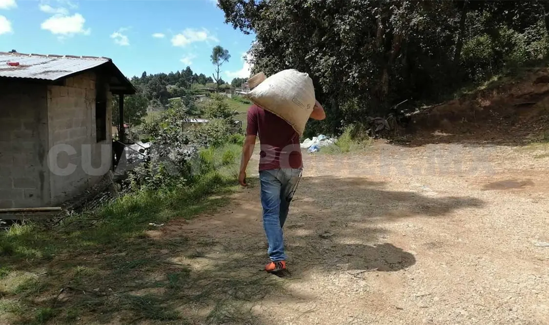Crean proyecto comunitario para enfrentar la crisis