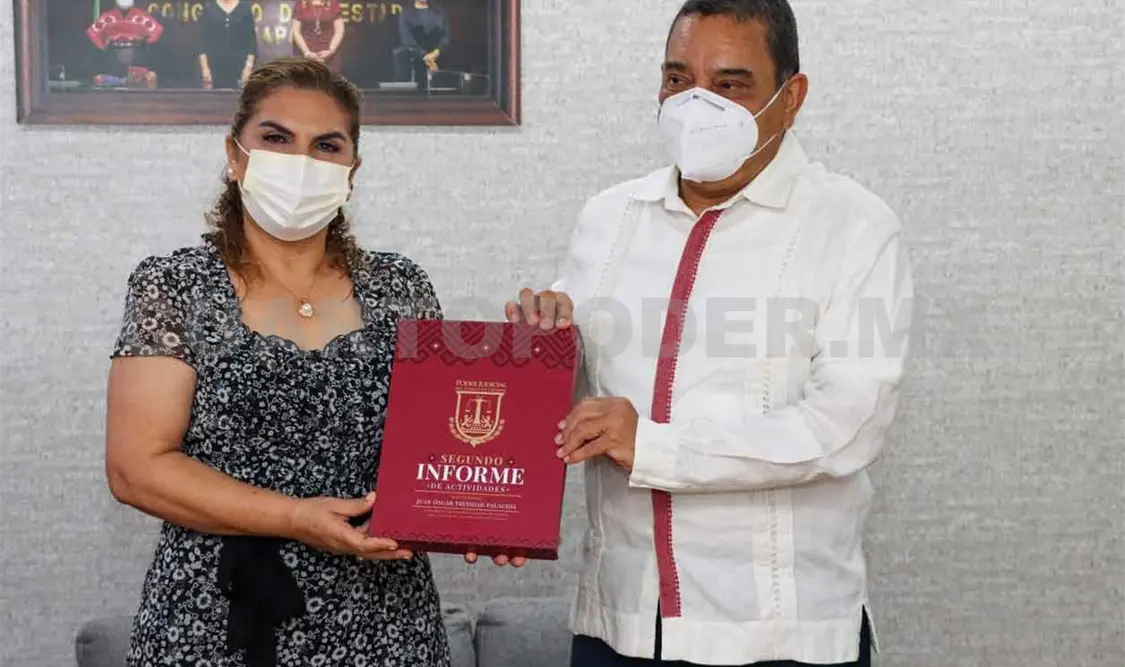 Entrega Trinidad Palacios Informe de Actividades