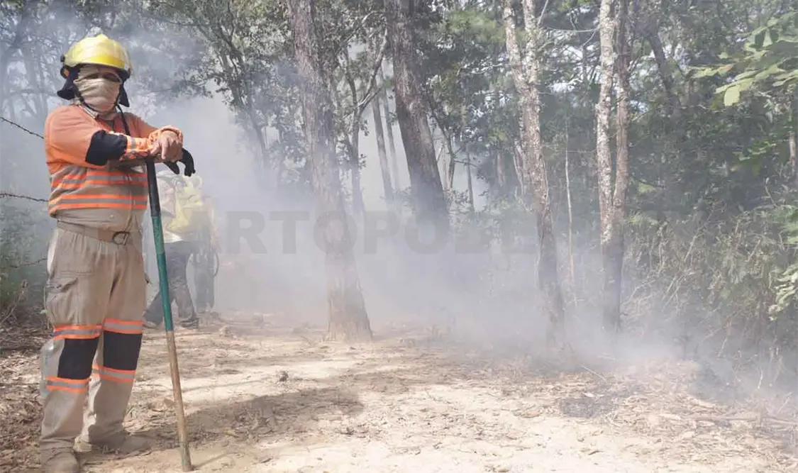 Aplican protocolos de sanidad ante próximas fiestas