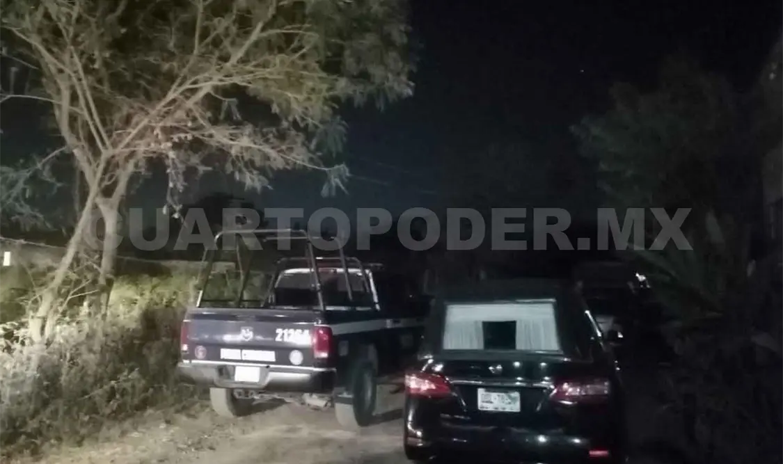 Enjambre ataca a sujeto y le provoca su muerte