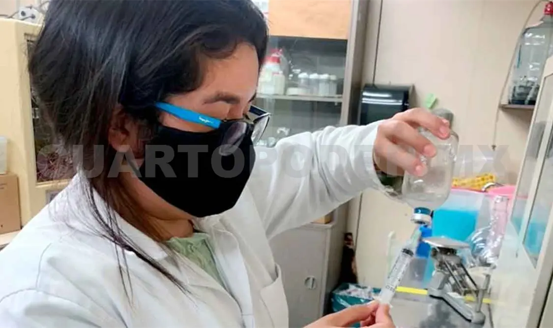 Ingenieros estudian microbiota para tratar enfermedades