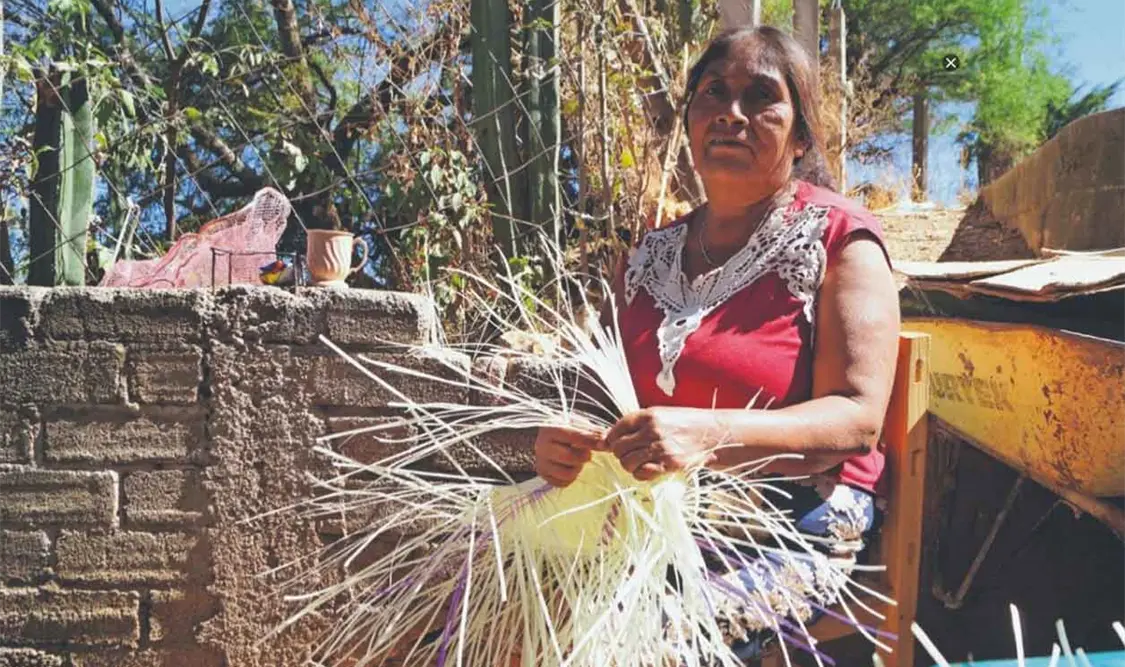 Tejiendo palma sin descanso, así se vive en Zahuatlán