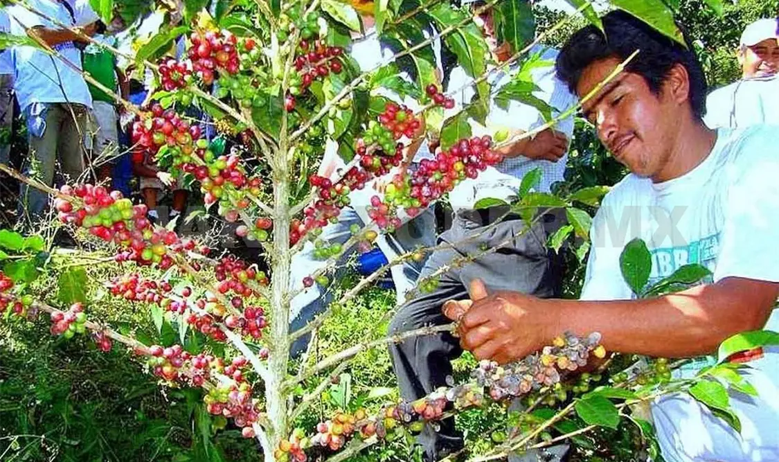 Necesario transitar a una agricultura orgánica