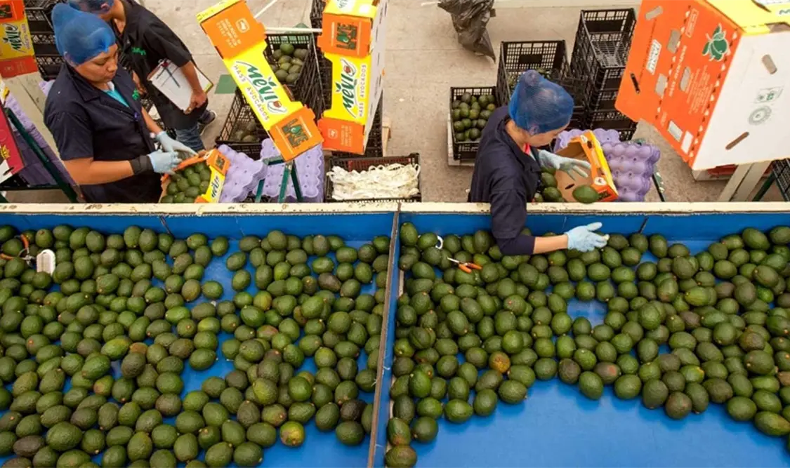 México intercambió con Estados Unidos el 14.5 % del comercio total de ese país. Cortesía