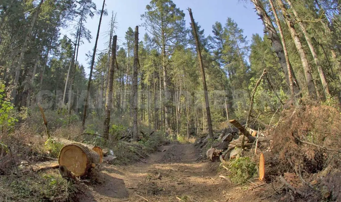 A través de las estrategias implementadas por la Semahn, se busca generar sensibilización para que la población cuide los ecosistemas. Diego Pérez / CP
