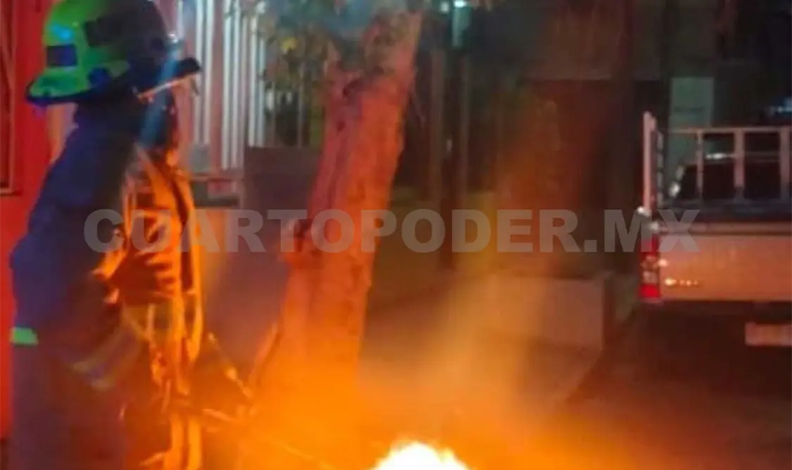 Enjambre ataca a hombre y mujer de la tercera edad