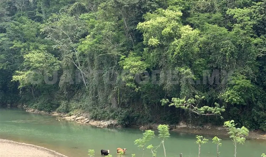 Llaman a atender microcuenca “La Suiza”
